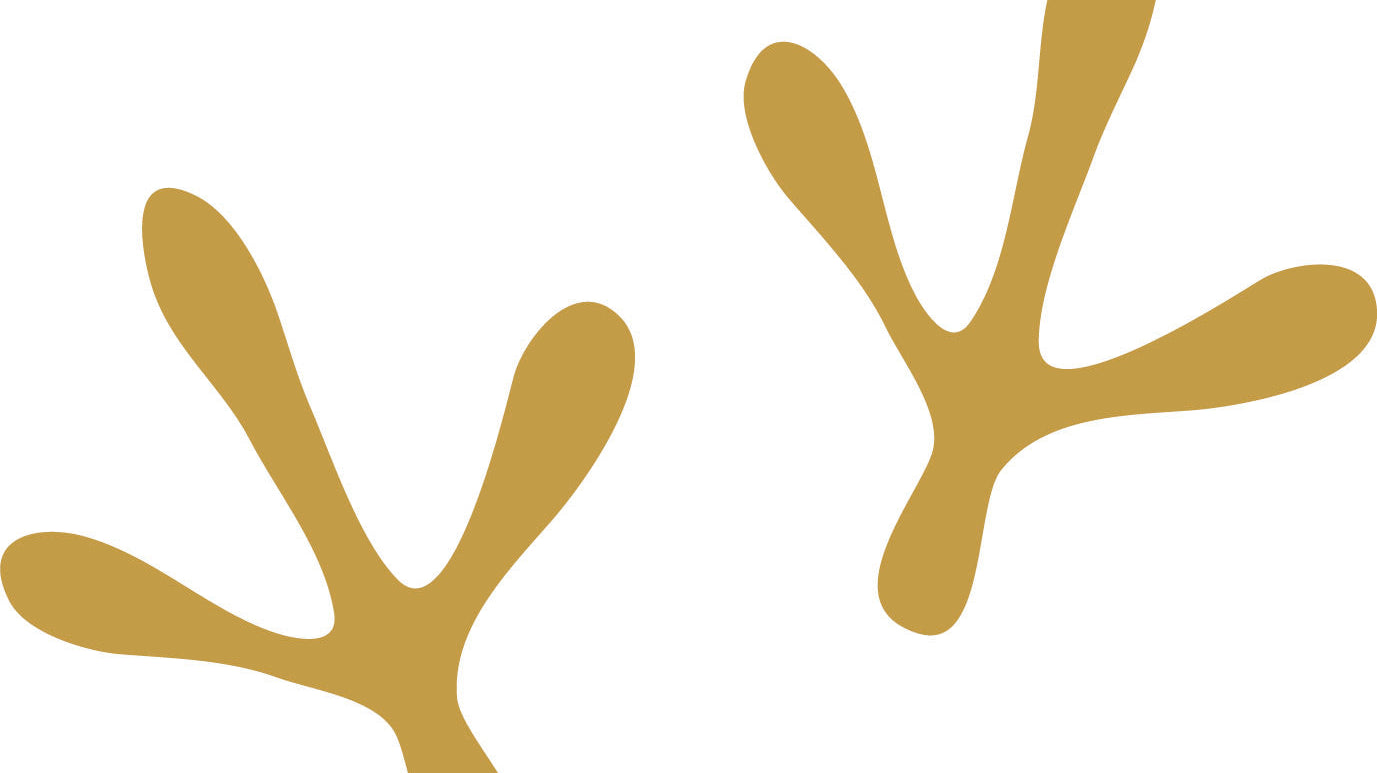 Webseite im Neuen Look