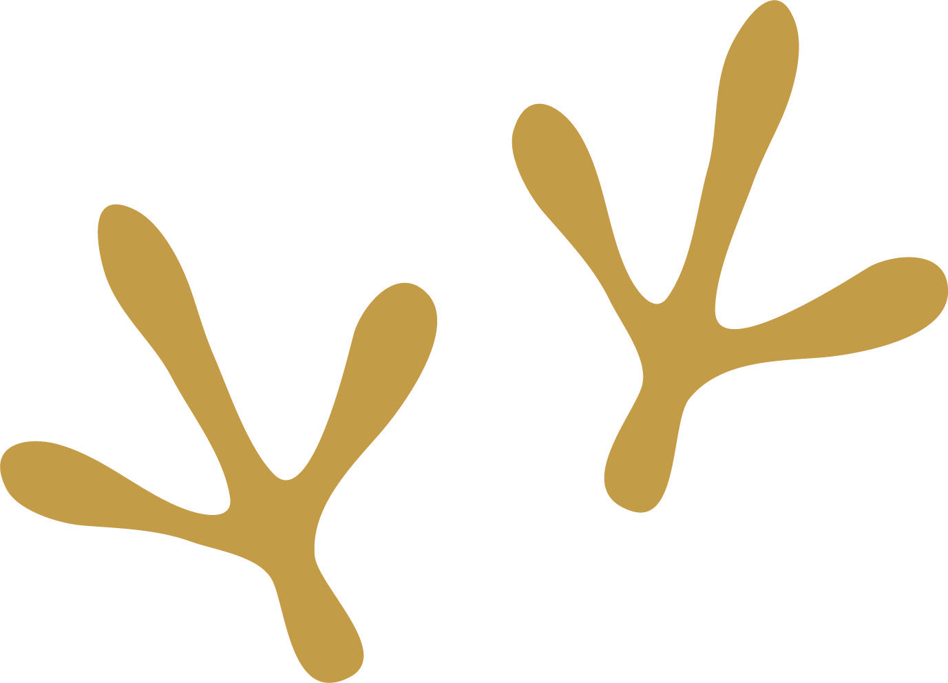 Webseite im Neuen Look